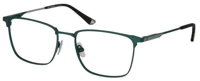 Roy Robson 40108 001 55/18