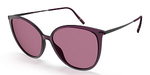 Silhouette 3195 4060 00/00 SG