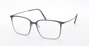 Silhouette 2986 75 6030 54/17