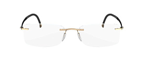 Silhouette Mosaic 5468 6053