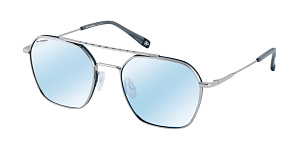 Roy Robson 70106 003 55/20 SG