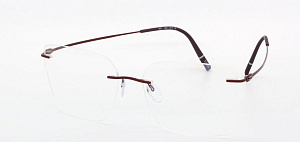 Silhouette 5593 PY 3040 55/15