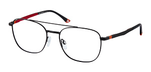 Roy Robson 10095 cl 003 55/18