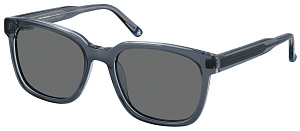 Roy Robson 70118 001 55/19 SG