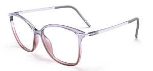 Silhouette 1619 75 4040 52/14