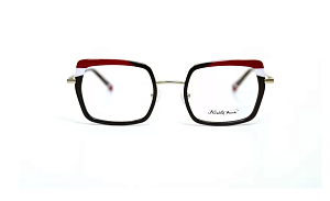 Nicoleta Buchi 762 01