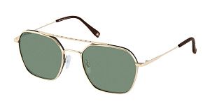 Roy Robson 70106 002 55/20 SG