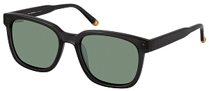 Roy Robson 70118 003 55/19 SG