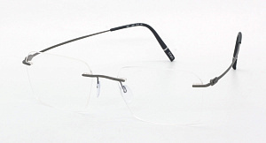 Silhouette 5593 PZ 6660 54/17