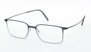 Silhouette 2984 75 6560 54/19