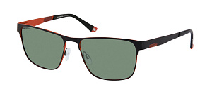 Roy Robson 70110 002 57/17 SG